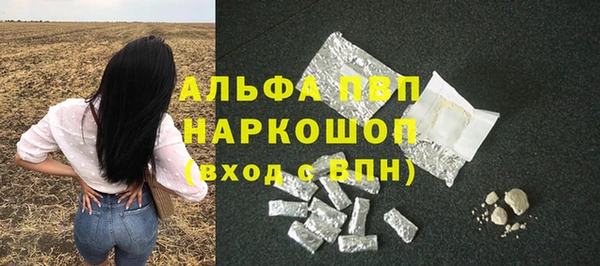 ешки Алексин