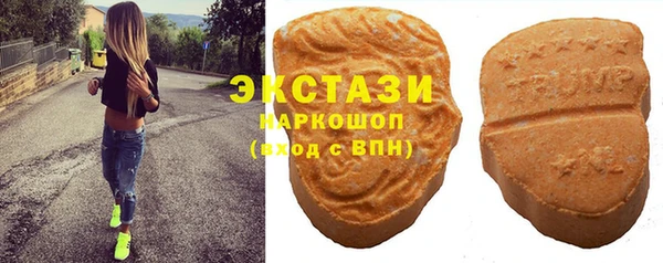 мдпв Ельня