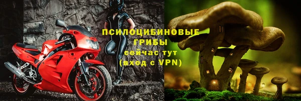 ешки Алексин