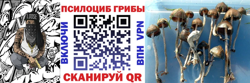 Галлюциногенные грибы мухоморы Тобольск